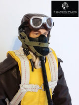 WWII USAAF Pilot - Warbird Pilot